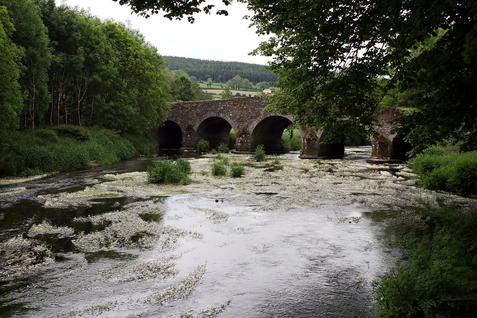 The stone bridge over the River Derry near Tinahely, Co. Wicklow