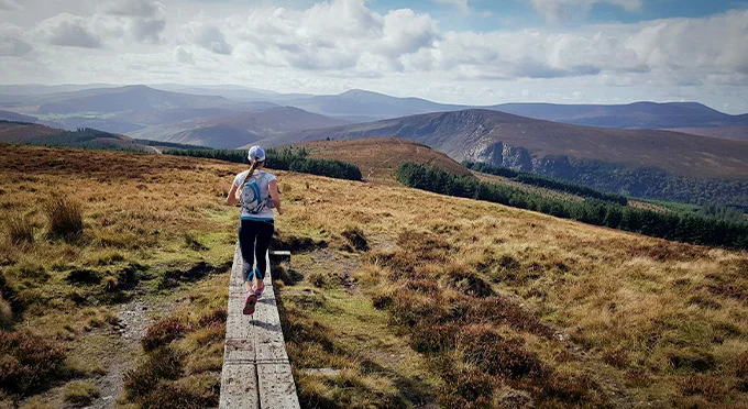 Mangan's Loop hillside above Tinahely, Co. Wicklow