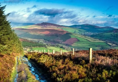 The Tinahely Loop, Muskeagh ridge above Tinahely, Co. Wicklow